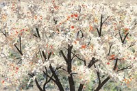 Pear Blossoms in Spring by Helena Alves - various sizes - $43.99