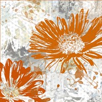 Upsy Daisy I Fine Art Print
