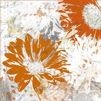 Upsy Daisy II Fine Art Print