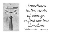 Sometimes In The Winds Of Change
