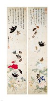 Butterflies - script Fine Art Print