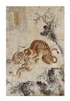 Family of Tigers Fine Art Print