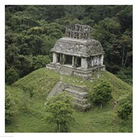 Temple of the Cross Palenque Fine Art Print