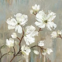 Sweetbay Magnolia I Fine Art Print