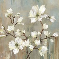 Sweetbay Magnolia II Fine Art Print
