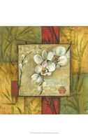 Asian Orchid Montage I by Ethan Harper - 13" x 19"
