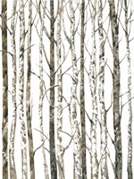 Bare I Fine Art Print