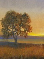 Firelight II Fine Art Print