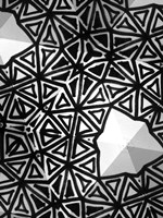 Buckminster I Fine Art Print