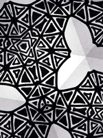 Buckminster IV Fine Art Print