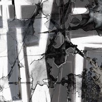 In Motion IV Fine Art Print