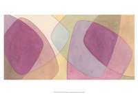 Orchid Scribe II Fine Art Print