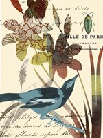 Exotic Blossom I Fine Art Print