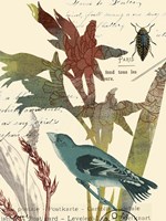 Exotic Blossom II Fine Art Print