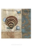 Botticelli Shell II Fine Art Print