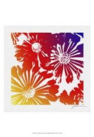 Floral Brights II Fine Art Print