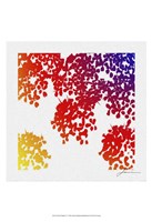 Floral Brights IV Fine Art Print