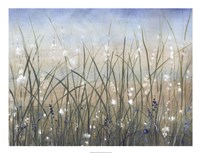 Bliss II Fine Art Print