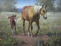 Comin' In Fine Art Print