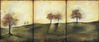Autumnal Meadow II Framed Print