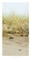 Dunes II by Rachel Perry - 14" x 26" - $24.99
