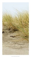 Dunes III Fine Art Print