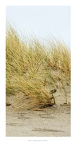 Dunes IV Fine Art Print