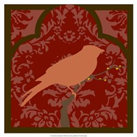 Moroccan Songbird I Framed Print
