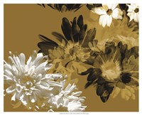 Golden Bloom I Framed Print