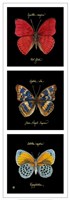 Primary Butterfly Panel I Framed Print
