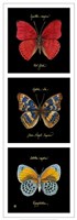 Primary Butterfly Panel I Fine Art Print