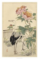 Crane and Peony Fine Art Print