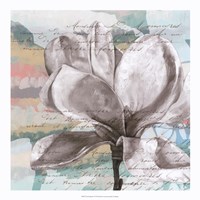 Pastel Magnolias I by Jennifer Goldberger - 20" x 20"