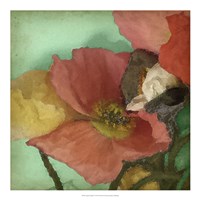 Aquatic Poppies I Framed Print