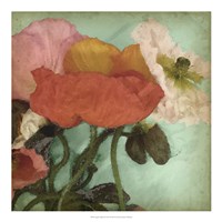 Aquatic Poppies II Framed Print