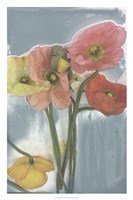 Poppy Spray II Framed Print