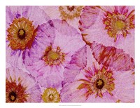 Crepe Paper Flowers I Framed Print
