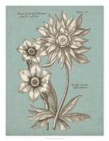 Chambray Chintz I Fine Art Print