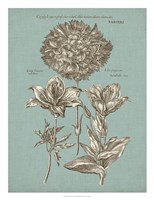 Chambray Chintz IV Fine Art Print