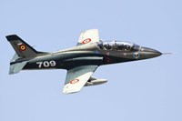 Romanian Air IForce AR-99 Soim jet trainer Fine Art Print