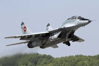 A Bulgarian Air Force MiG-29UB taking off from Graf Ignatievo Air Base Fine Art Print
