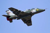 A Serbian Air Force Soko G-4 Super Galeb Fine Art Print