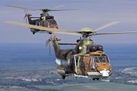 Eurocopter AS532 Cougar helicopters in flight over Bulgaria Fine Art Print