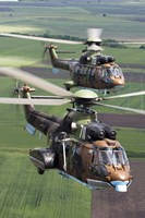 Pair of Bulgarian Air Force Eurocopter AS532 AL Cougar helicopters Fine Art Print