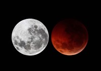A composite showing the moon before the eclipse and during totality phase Fine Art Print