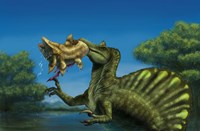 A Spinosaurus dinosaur fishing Mawsonias in a mangrove Fine Art Print