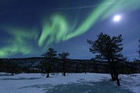 Aurora Borealis, Forramarka, Troms, Norway Fine Art Print