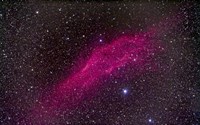 The California Nebula Fine Art Print
