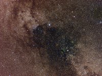 Widefield view of star flux in Cygnus Fine Art Print