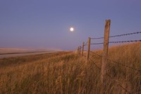 Harvest Moon down the road, Gleichen, Alberta, Canada Fine Art Print